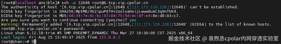 image-20250815145532288