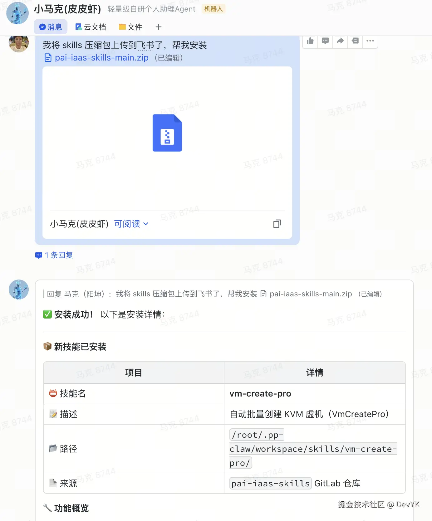 Skill 安装演示