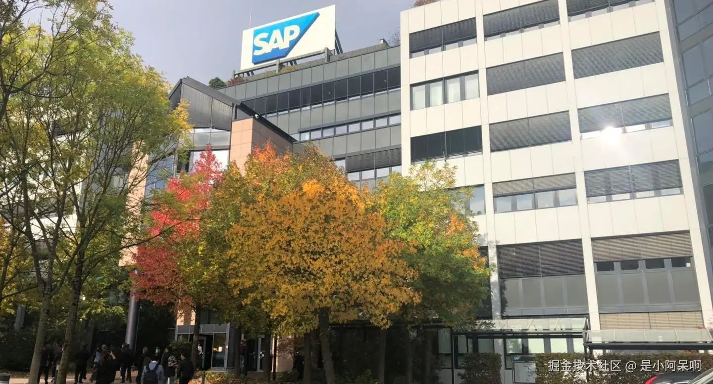 SAP (1)(1).jpg