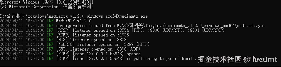 "mediamtx启动界面"