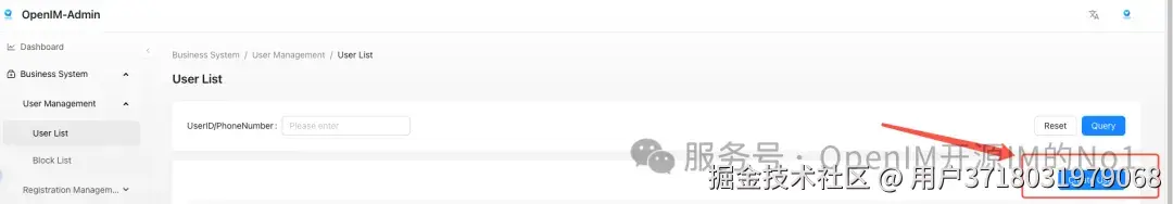 image-20260310115043272