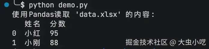 使用Pandas读取Excel数据-运行效果图