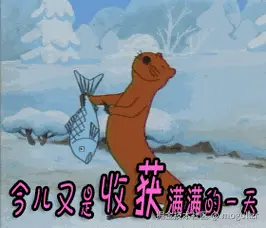 u=368437500,1200346584&fm=253&fmt=auto&app=120&f=GIF