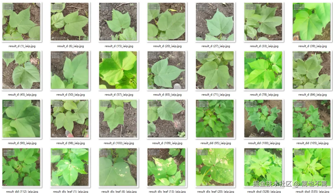 image-20260113011415250