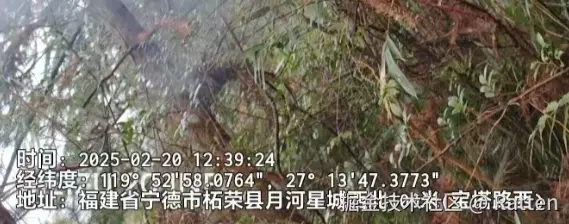 输入图片说明