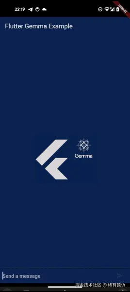 flutter\_gemma 示例app