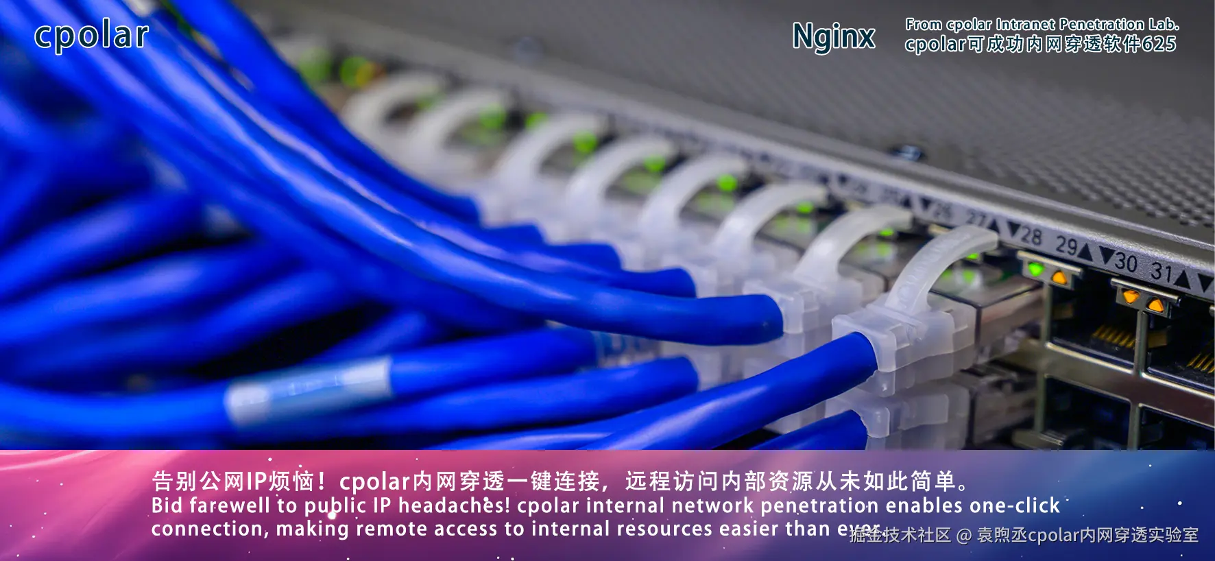 NO.625  Nginx-03.png