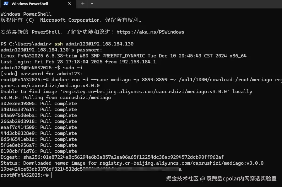 image-20250311153326969