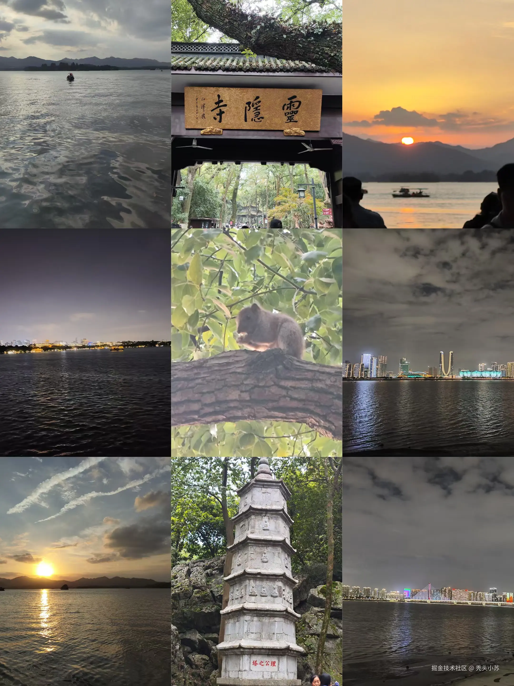 image-20250120203817254