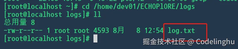 image-20240813152958634