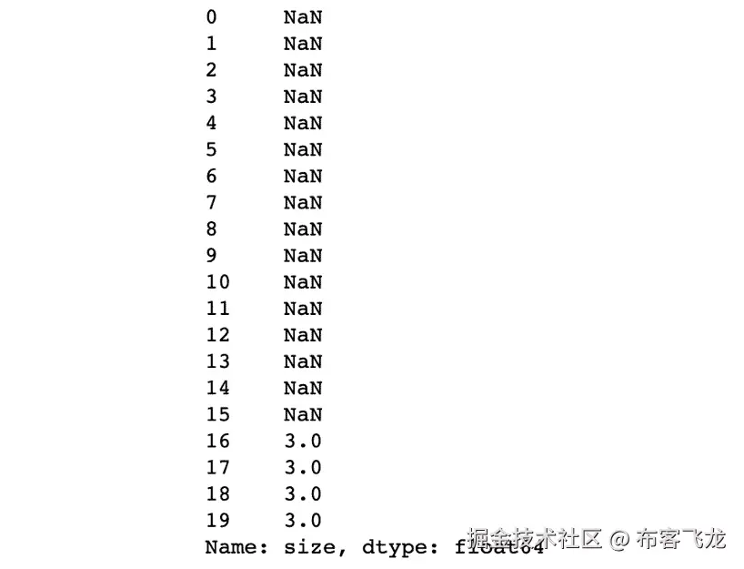图 1.8：展示了年龄变量前 20 个实例的截图    