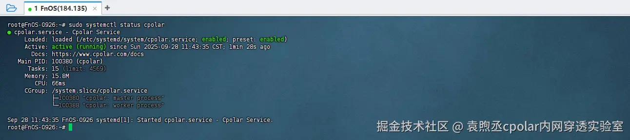 image-20250928114517339