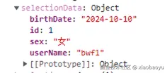 selectionData Object.png