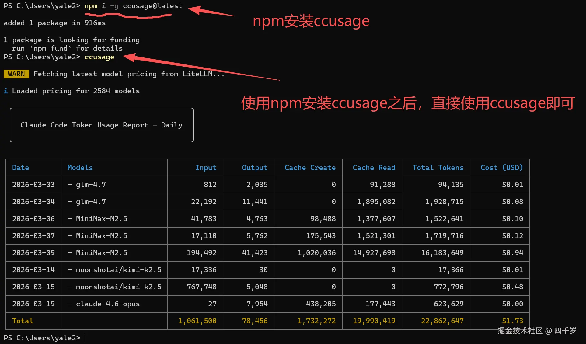使用npm安装ccusage