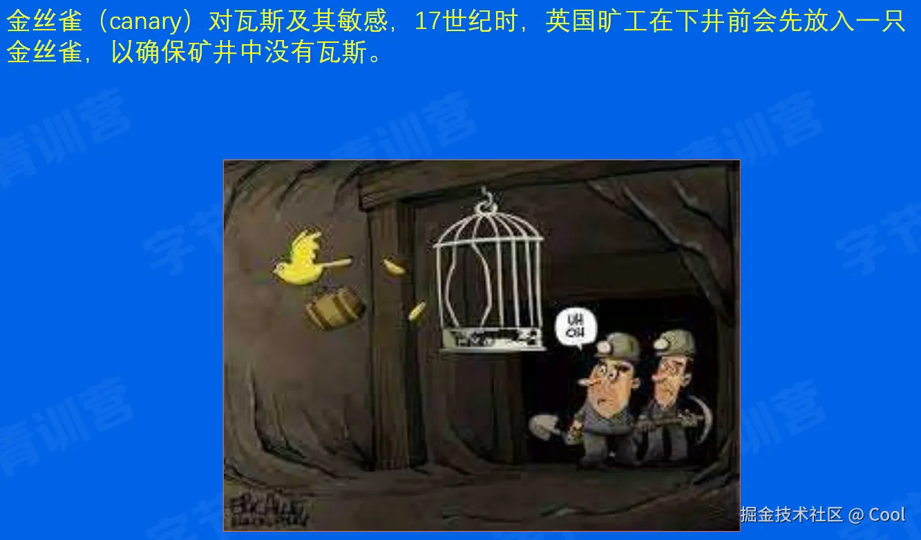 image-20220529175847986.png