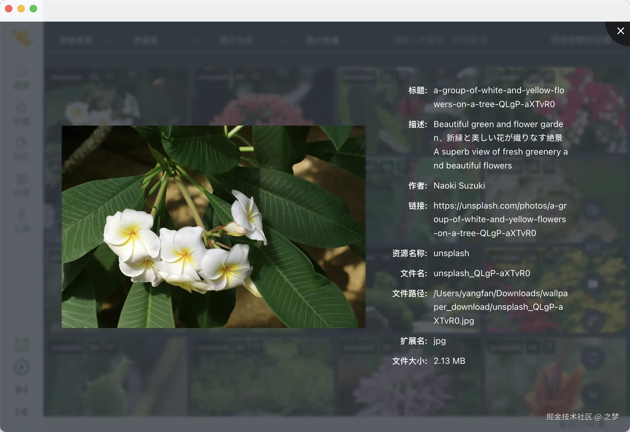 fbw_image_info.png