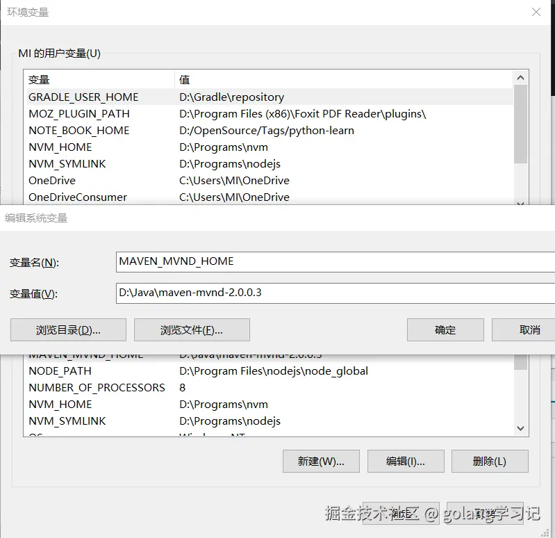 环境变量配置示例