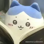 屏幕截图 2024-12-28 110516.png