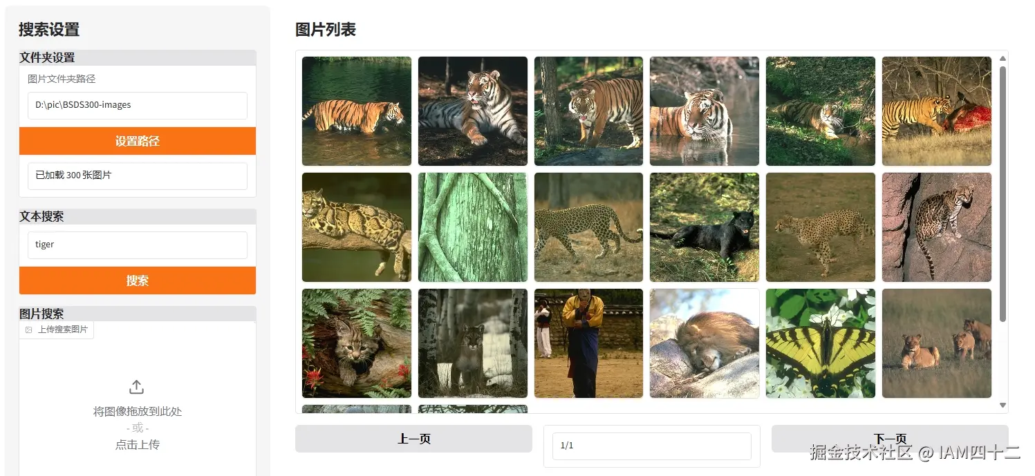 text_s_tiger.jpeg