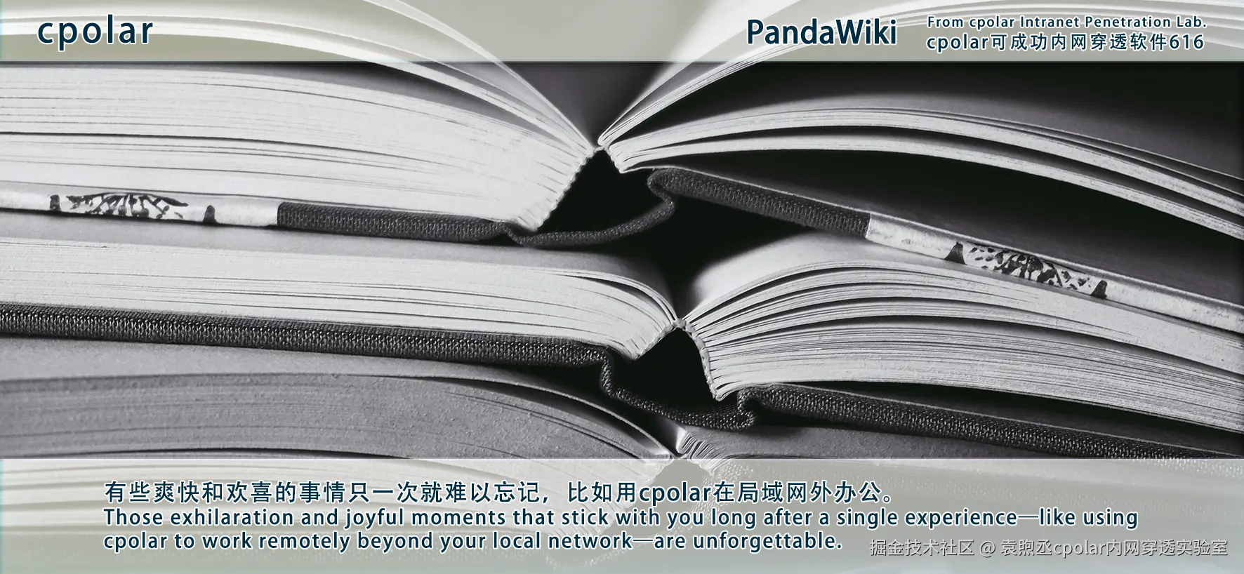 NO.616 PandaWiki-04.png