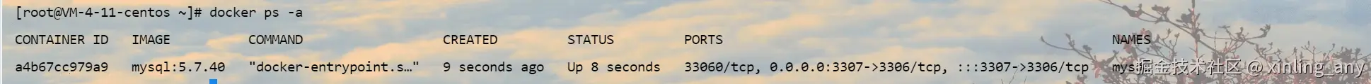 image-20240823142818333