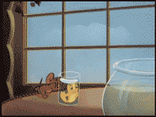 Colder_于2025-04-11 16:16发布的图片