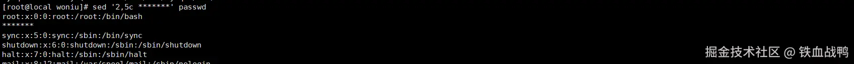 image-20240621174357037