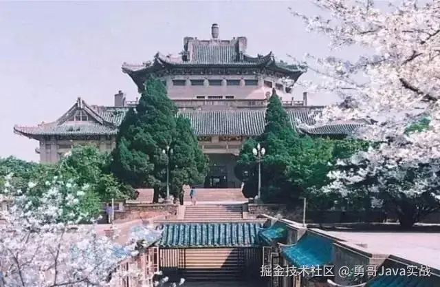 武汉大学