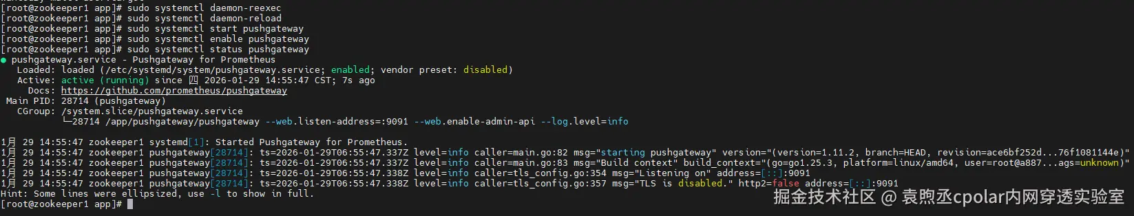 image-20260129145603537