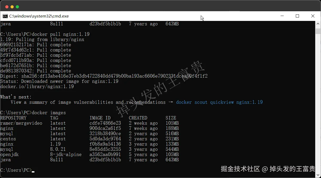 image-20240815194631333
