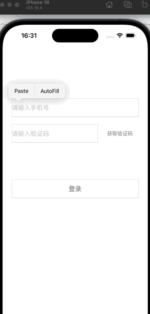 演示动画