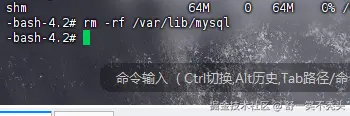 image-20240919230855506