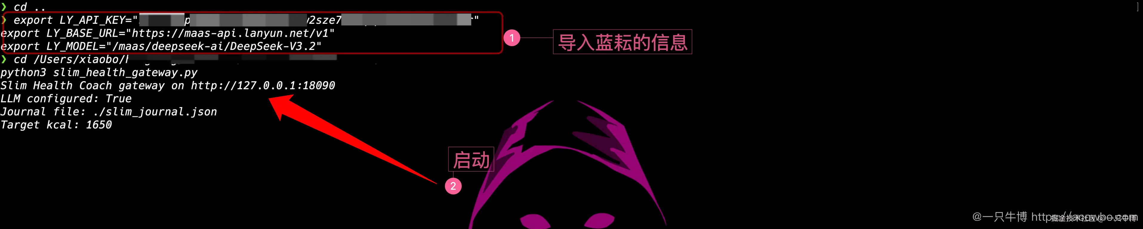 Import Lanyun config and start gateway, Key masked