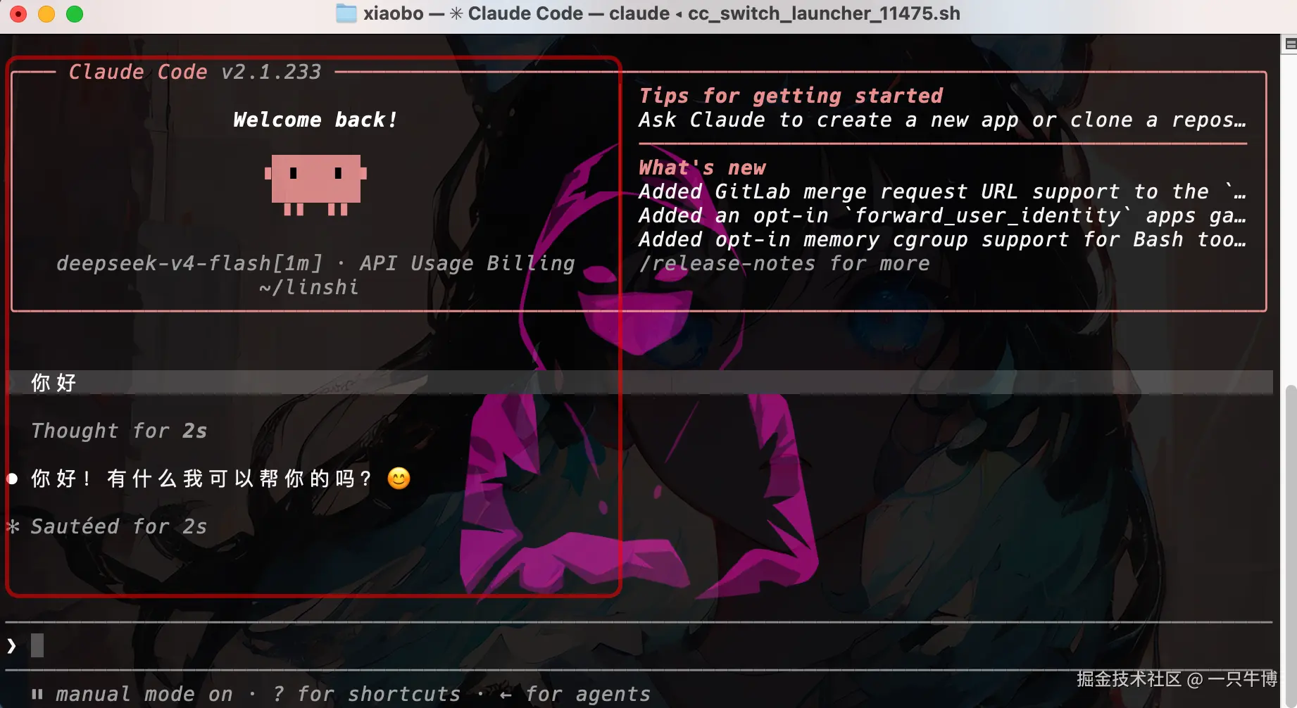 DeepSeek-V4-Flash 在 Claude Code 中成功回复