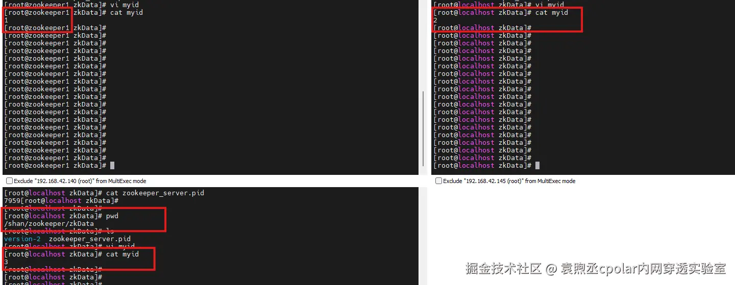 image-20251204160334456
