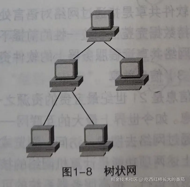 树状网.jpg