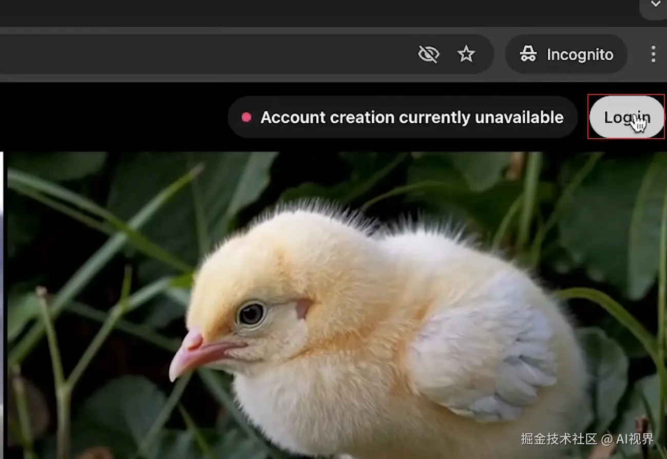 image-20241217134859023