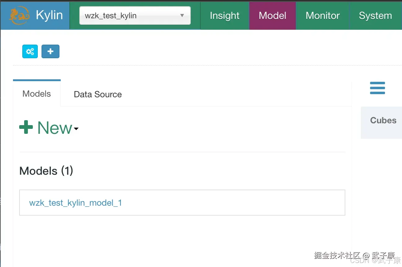 Apache Kylin  Model的名字