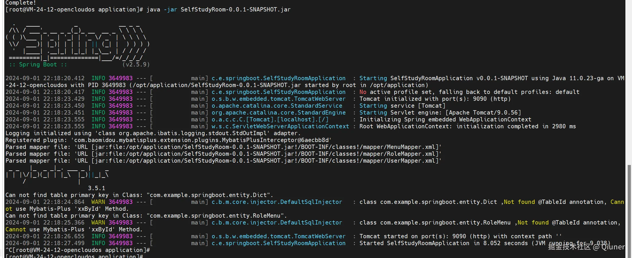 image-20240901221920802