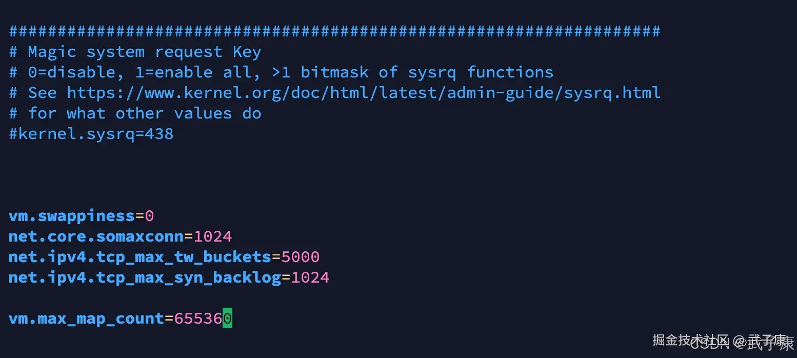 vw.max_map_count 配置修改