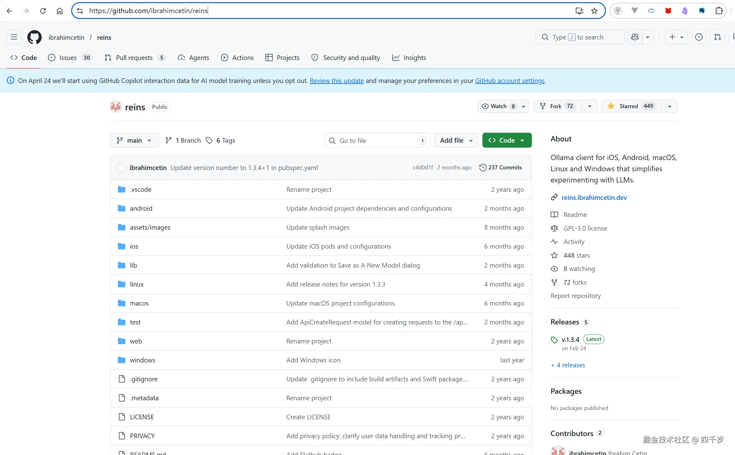 Reins的GitHub仓库地址