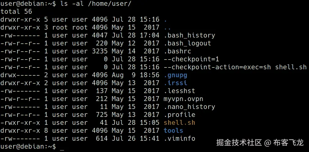 图 13.17 – 用户的主目录    