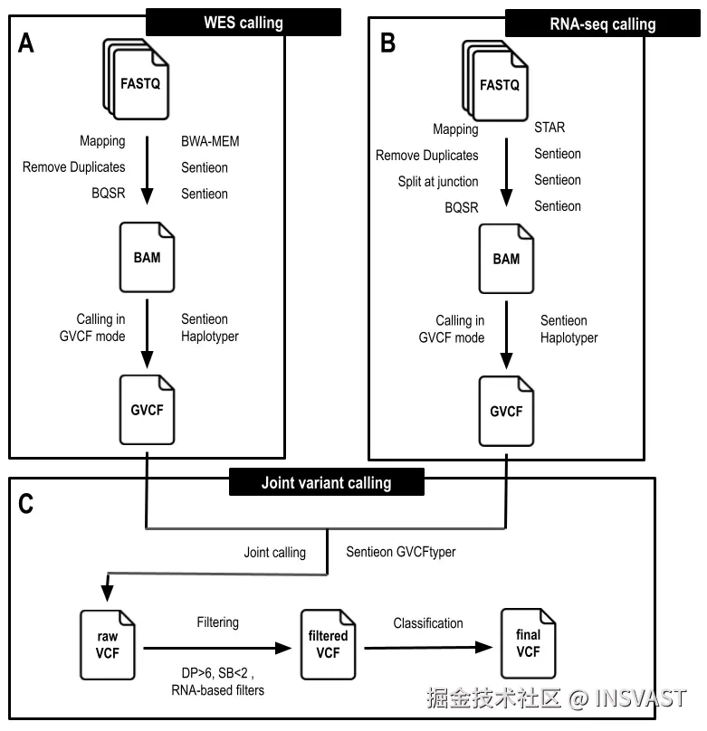 图2 使用 WES 和 RNA-seq 数据进行变异鉴定的工作流程。工作流程主要包括三个步骤：A） WES 比对和变异检测。B）RNA-seq比对和变异检测。C）WES和RNA-seq数据的联合基因分型，变异过滤和分类