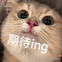 qidai.png