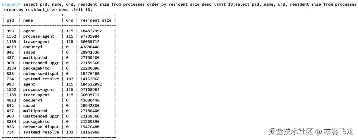 图 6.27 – 根据内存大小列出的前 10 个最大进程结果