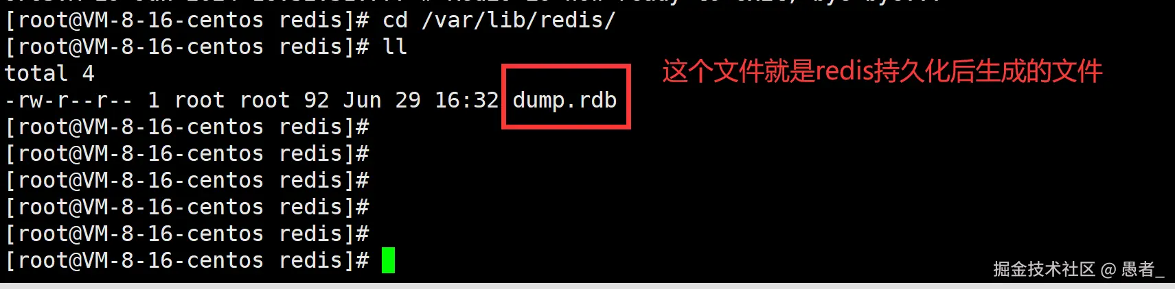 image-20240629163950698