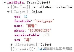 initData赋值