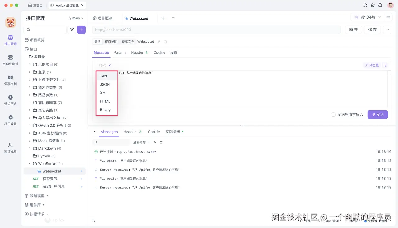 Apifox WebSocket 测试界面