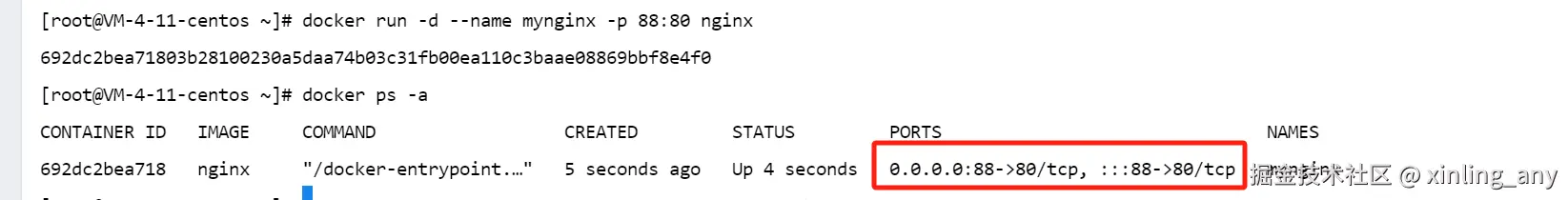 image-20240821112415061