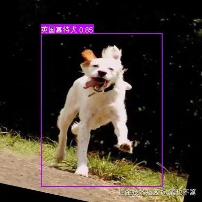 result_n02100735_4035_jpg.rf.5936abfda0f2834c541e59fab087541f